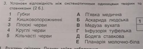 Установи відповідність між систематичними одиницями тварин та їхніми представниками !​