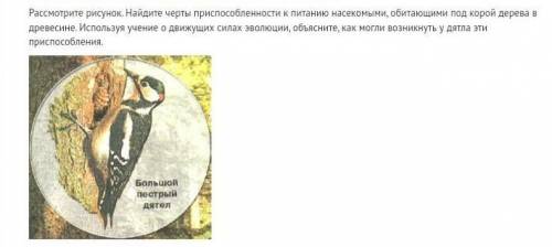 1.Что такое адаптации? Какое значение они имеют для организмов? 2.Приведите примеры адаптаций у живо