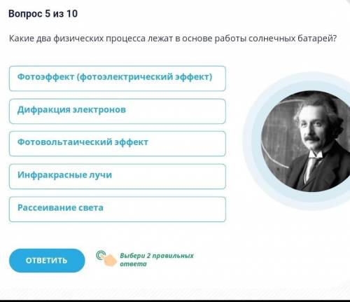 должно быть два верных ответа ​