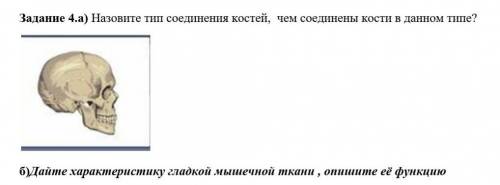 4.а) Назовите тип соединения костей,  чем соединены кости в данном типе? ​