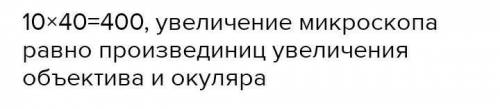 Ольга рассмотрела кожицу лука под микроскопом, на котором было указано увеличение окуляра:10увеличен