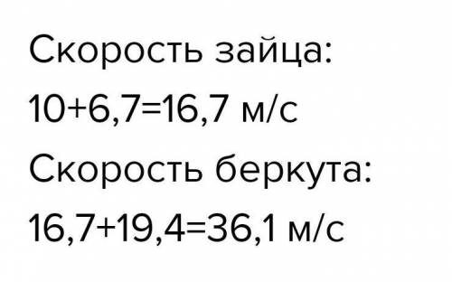 2) Скорость лисы на 6,7 м/с меньше скорости зайца. Скорость беркута составляет 2,1 скорости зайца. К