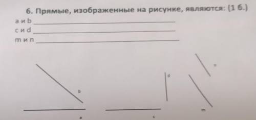 6. Прямые, изображенные на рисунке, являются: А и В С и DM и N !​