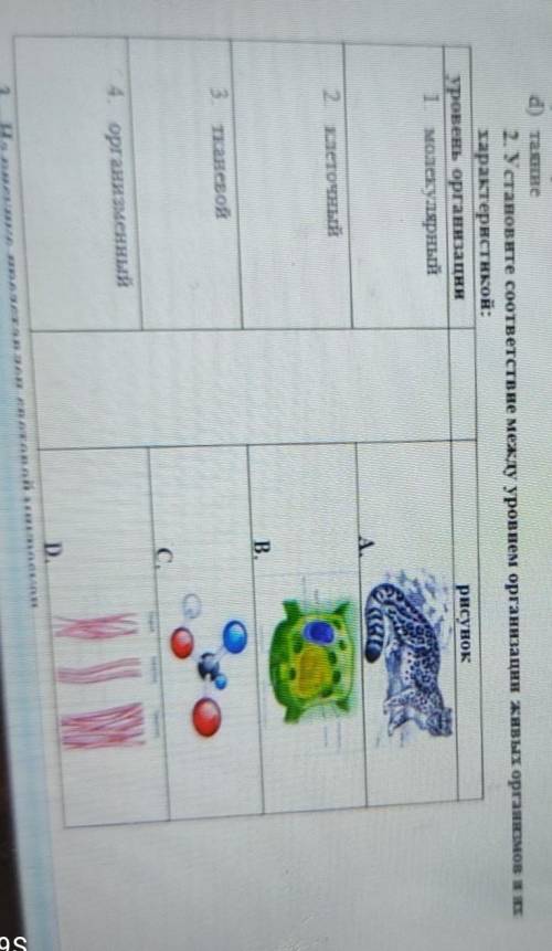 2. Установите соответствие между уровнем организации живых органимов в характеристикой:уровень орган