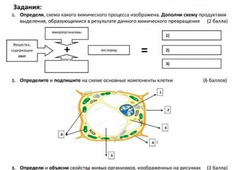 Опрредели схему какого химического процесса изображена. Дополни схему продуктами выделения образующи