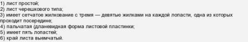 Дайте характеристику листа клёна по всем изучиным класификациям​