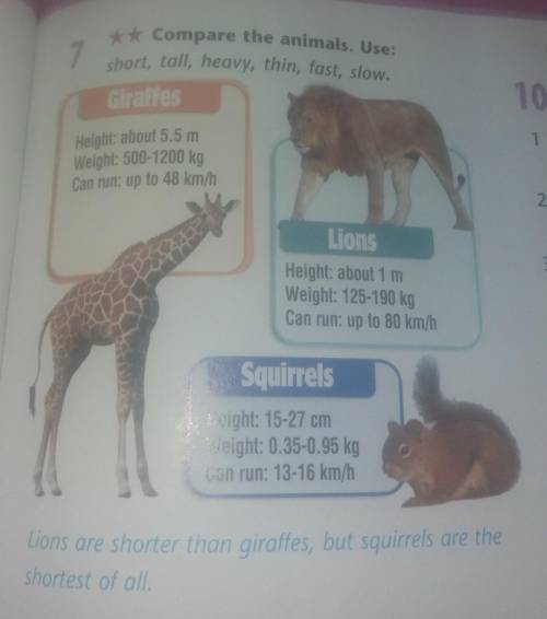 7* Compare the animals. Use:short, tall, heavy, thin, fast, slow. please :(​