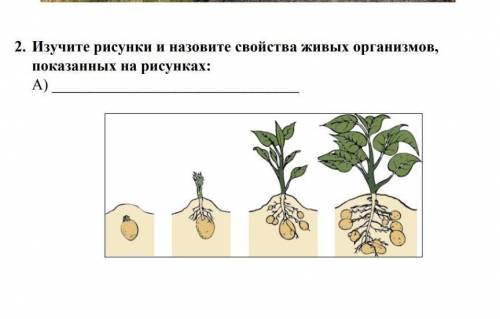 Изучите рисунки и назовите свойста живых организмов,показаных на рисунке​