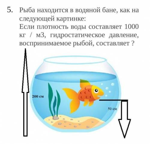 Рыба находится в водяной бане, как на следующей картинке: Если плотность воды составляет 1000 кг / м