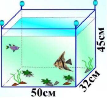 Рассчитайте давление воды на дно аквариума с уровнем воды высотой 45 см.
