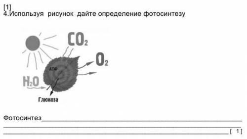 Используя рисунок дайте определение фотосинтезу​