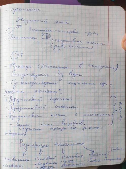 Краткий конспект по биологии 6 класс пономарева 23 параграф голосеменные. ​