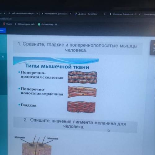 1. Сравните, гладкие и поперечнополосатые мышцы человека. ка Типы мышечной ткани • Поперечно- полоса