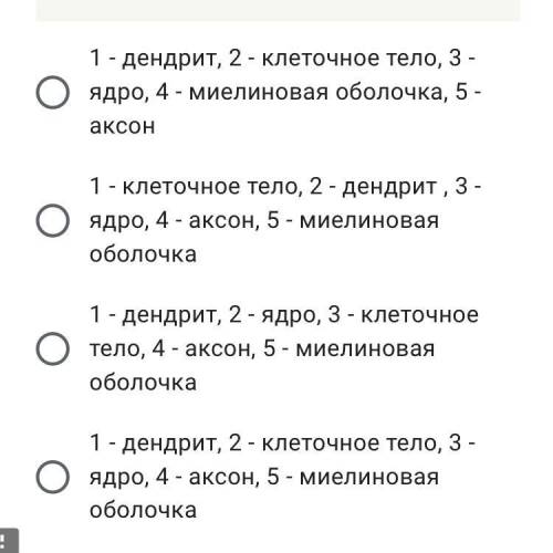 Укажите правильный порядок частей нейрона