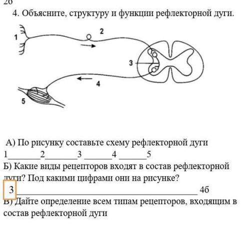 А) По рисунку составьте схему рефлекторной дуги 123 4 5Б) Какие виды рецепторов входят в состав рефл