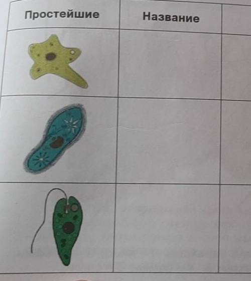 1. заполните таблицу и следующая строка строение​