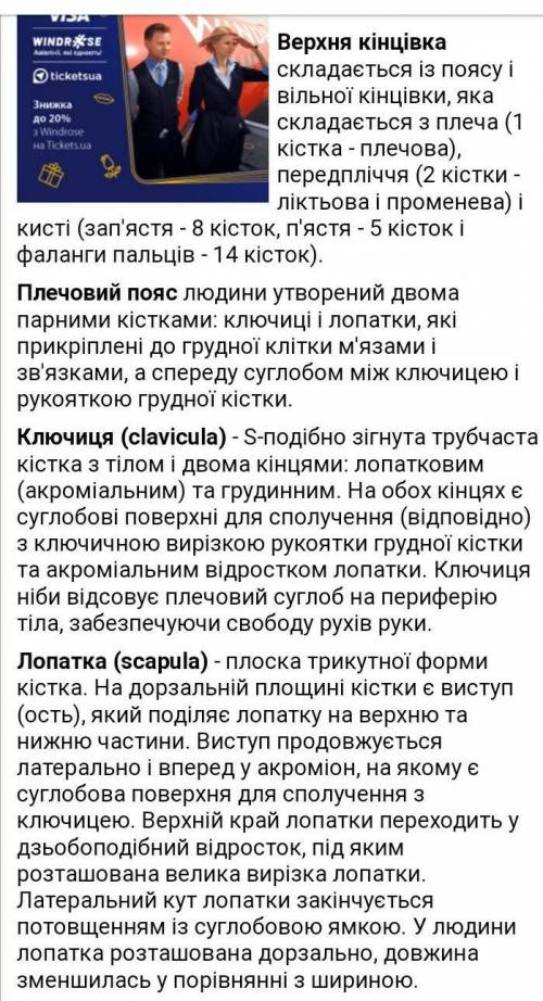 ￼￼￼￼￼виберіть кістки ￼￼￼вільної￼ ￼ ￼￼￼верхньої кінцівки а)плечова б)ліктьова в)променева г)лопатка д