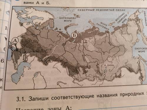 Запиши соответствующие названия природных зон