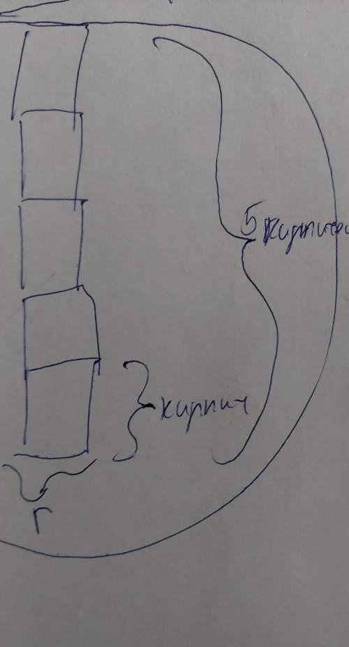 Как расположить 5 кирпичей, чтобы они оказывали максимальное давление? (сделать рисунок)