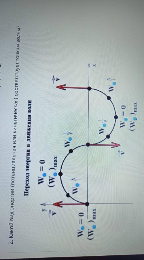 Какой вид энергии (потенциальная или кинетическая) соответствует точкам волны? ​