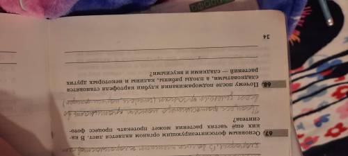 6 класс фотосинтез. Дайте ответ на номер 68. На уроке нам этого не давали в готовом домешнем задании