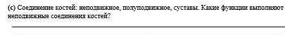 Соединение костей: неподвижное, полуподвижное, суставы. Какие функции выполняют неподвижные соединен