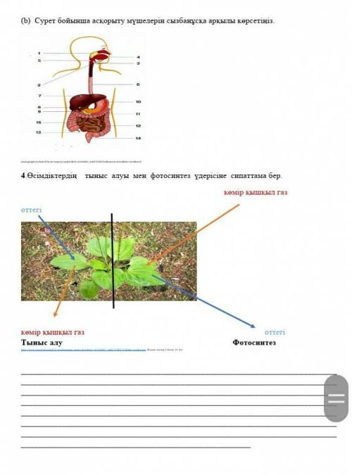 ,за безсмысленные ответы даю Бан​