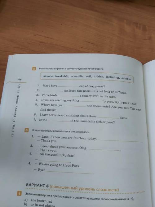 Решите 6 номеров, контрольная работа по Английскому языку. 7 класс.