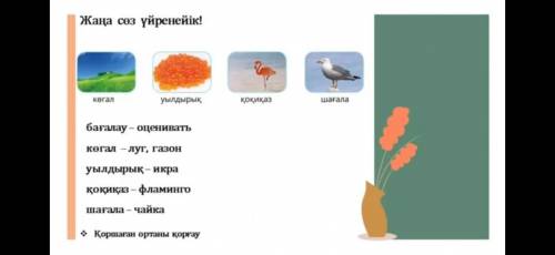 братику решить задание он мне не даёт он только знаниям доверяет