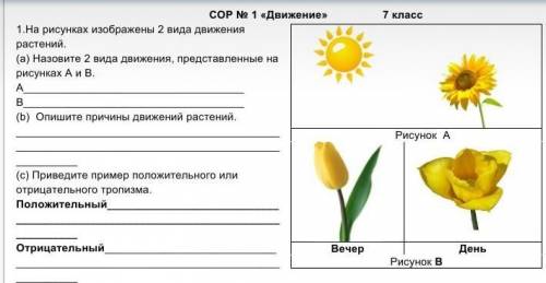 7 класс СОР по биологии. ​