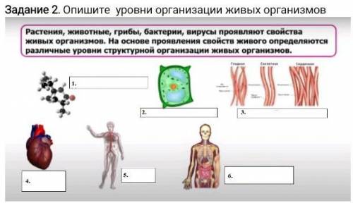 Задание 2. Опишите уровни организации живых организмов , у меня сор. ​