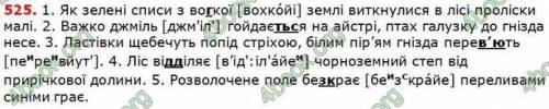 ПІДКРЕСЛИТИ ПРАВИЛЬНО ПІДМЕТ ПРИСУДОК ВСІ ЧЛЕНИ РЕЧЕНЯ ПУДЬЛАСКА