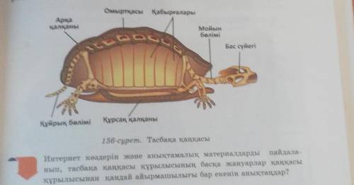 я на уроке осталось 20 мин ​