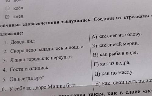 2. Устойчивые словосочетания заблудились. Соедини их стрелками в нужное предложение:1. Дождь лилА) к