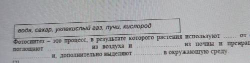 BHHT - 5. Дополните предложение, используя приведенные слова в .вода, сахар, углекислый газ, лучи, к