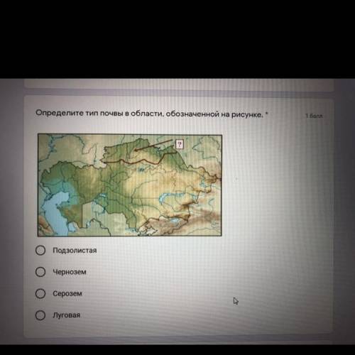 Определите тип почвы в области, обозначенной на рисунке. Подзолистая Чернозем Серозем Луговая