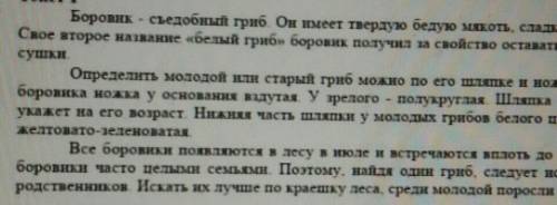 Сутки, Определить молодой и старый грно можно по его шляшке и ножке. У молодогоборовика ноша у основ