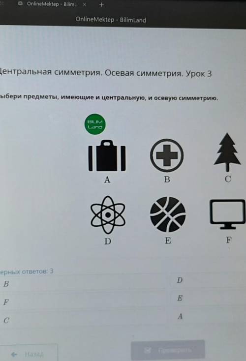 Центральная симметрия. Осевая симметрия. Урок 3 Выбери предметы, имеющие и центральную, и осерую сим