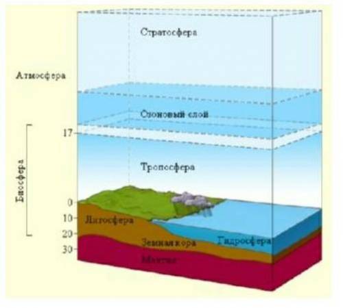 По рисунку определите границы верхних и нижних слоев биосферы А) верхняя границаВ) нижняя граница ​