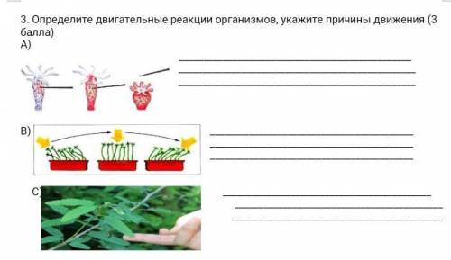 3. Определите двигательные реакции организмов, укажите причины движения ( ) А) В) С) ​