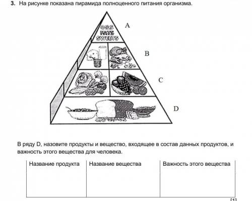 На рисунке показана пирамида полноценного питания организма. AAYSSWERSвDВ ряду D, назовите продукты