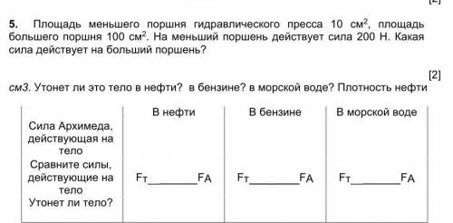 7 КЛАСС ПО ФИЗИКЕ Площадь меньшего поршня гидравлического пресса 10 см2, площадь большего поршня 100