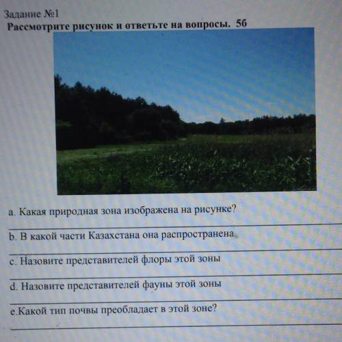 Рассмотрите рисунок и ответьте на вопросы