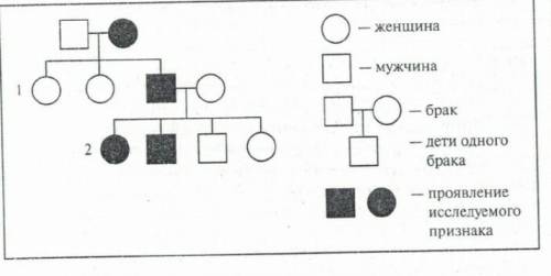 На основе родословной установите характер наследования признака(доминантный или рецессивный , сцепле