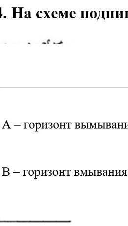 :< 4.На схеме подпишите почвенные горизонты 1)2)А-горизонт вымывания 3) В-горизонт вмывания ​