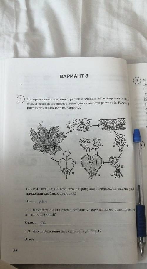 1.3. Что изображено на схеме под цифрой 4?​