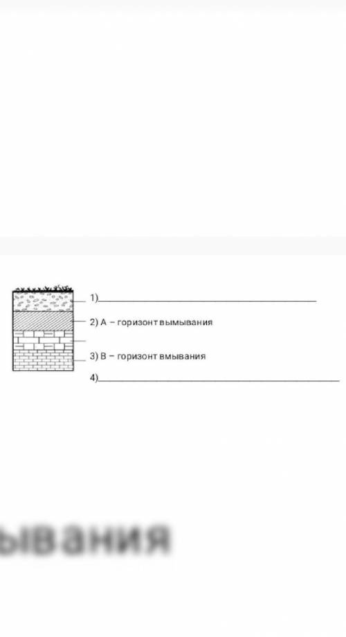 На схеме подпишите почвеные горизонты​