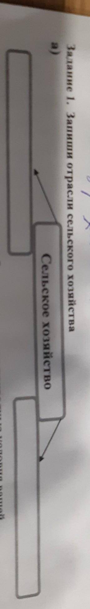 Задание 1. Запиши отрасли сельского хозяйстваСельское хозяйство​