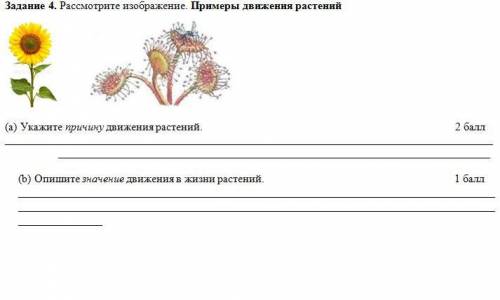 Задание 4. Рассмотрите изображение. Примеры движения растений (a) Укажите причину движения растений.