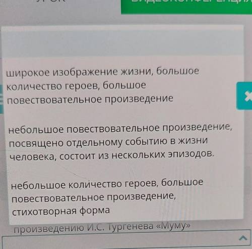 Определите признаки, соответствующиепроизведению И.С. Тургенева «Муму» 